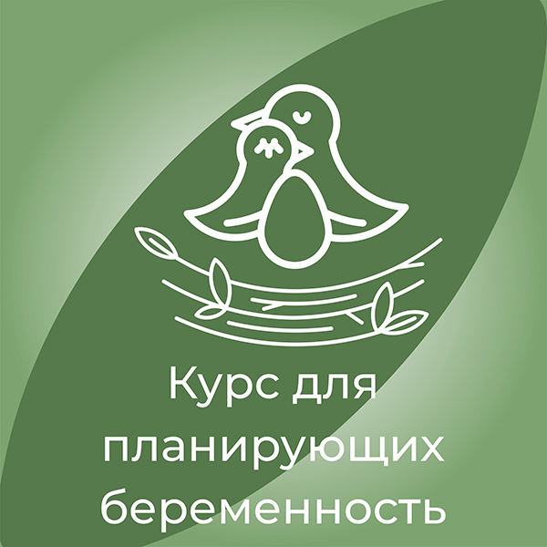 Стоимость курса
