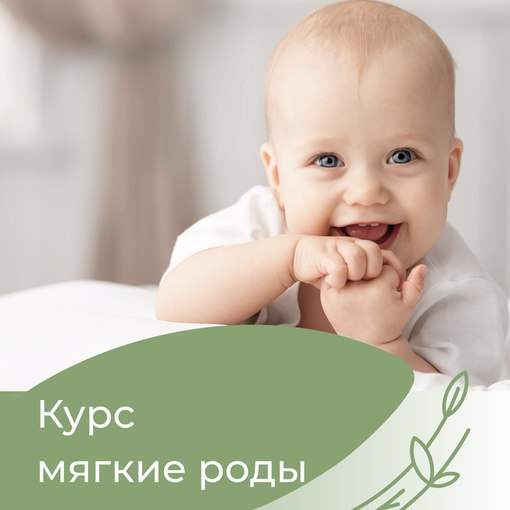Стоимость курса